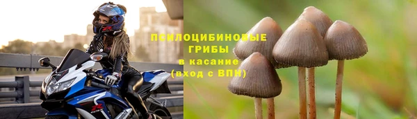 СК Абаза
