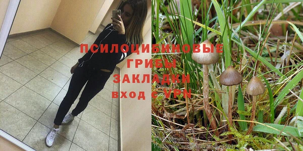 дмт Абдулино